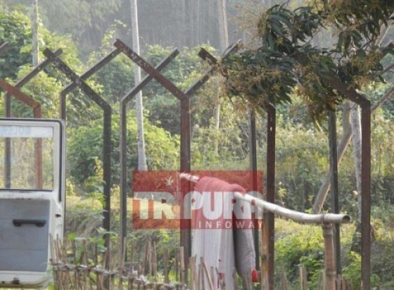 Maximum areas along Indo-Bangla border at Tripura not properly fenced: massive drugs, smuggling spikes up Maximum areas along Indo-Bangla border at Tripura not properly fenced: massive drugs, smuggling spikes up